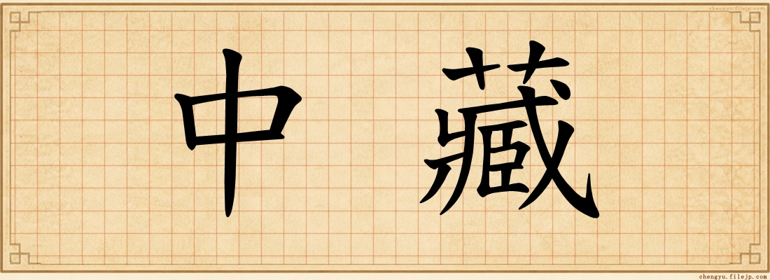 中藏