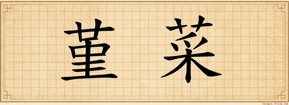 堇菜