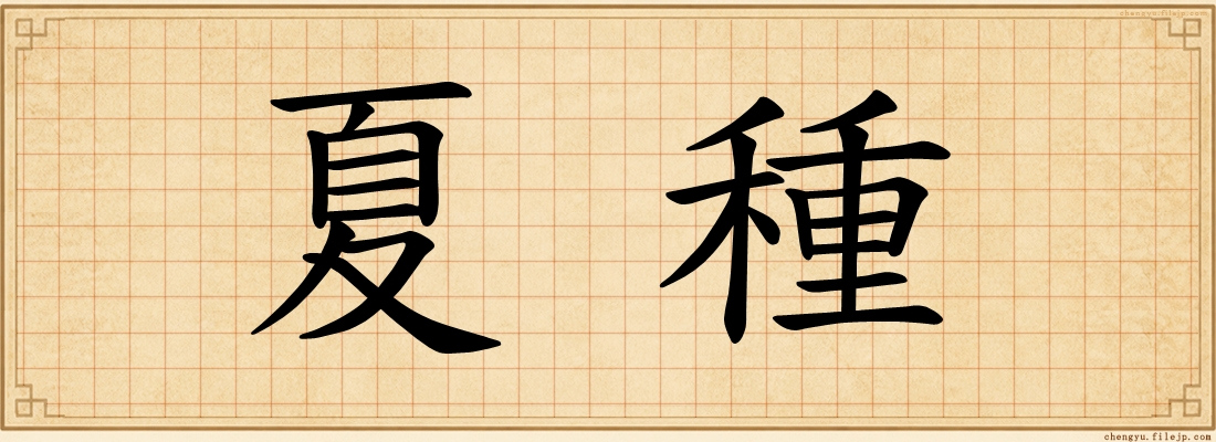 夏種