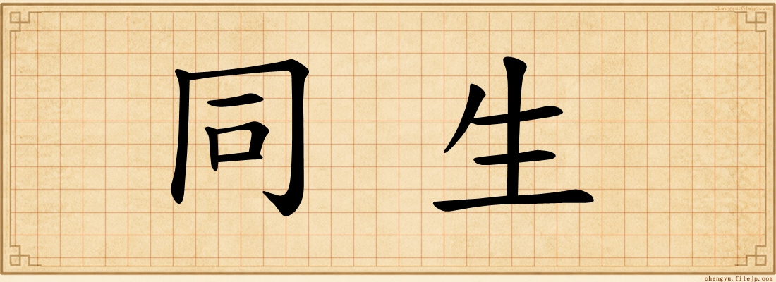 同生