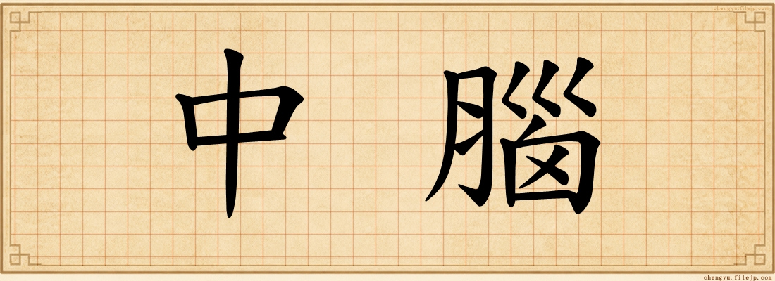 中腦