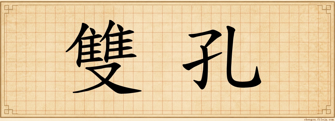 雙孔