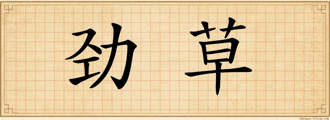 劲草