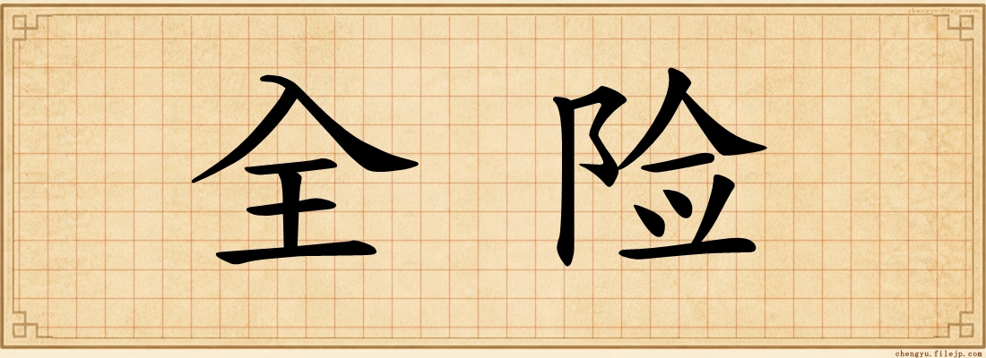 全险