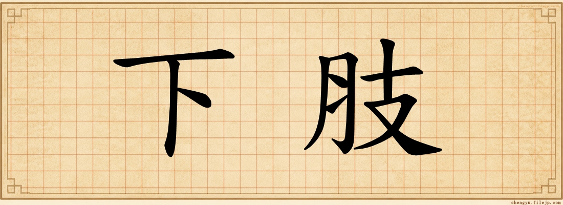 下肢