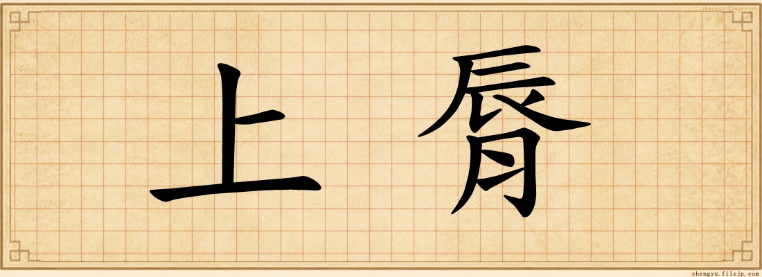 上脣