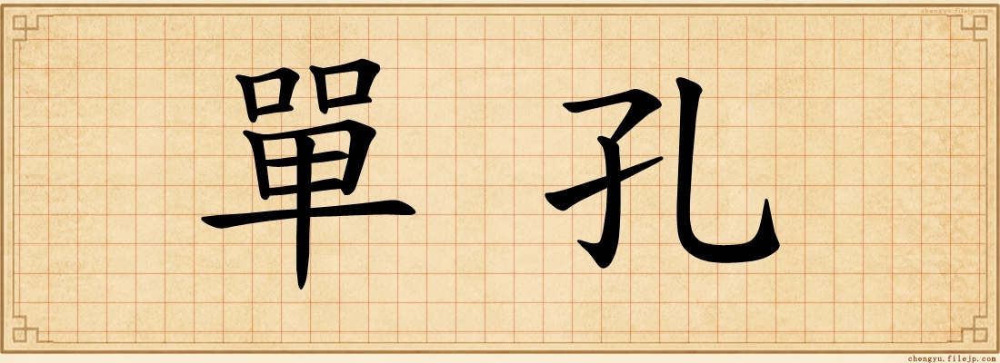單孔