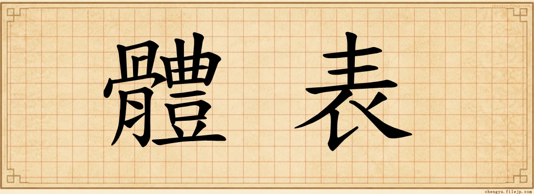 體表