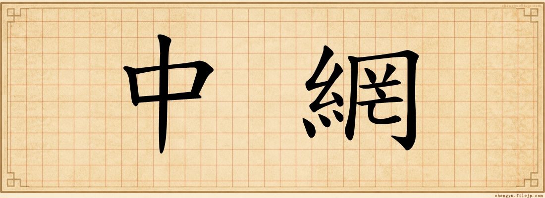 中網
