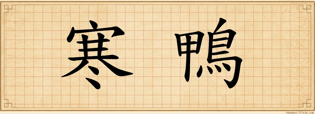 寒鴨
