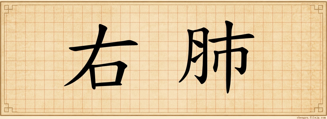 右肺