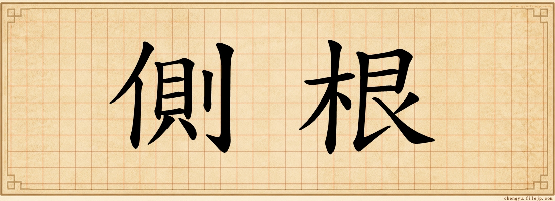側根