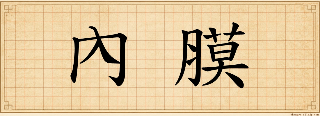 內膜