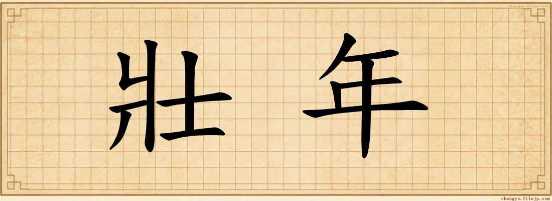 壯年
