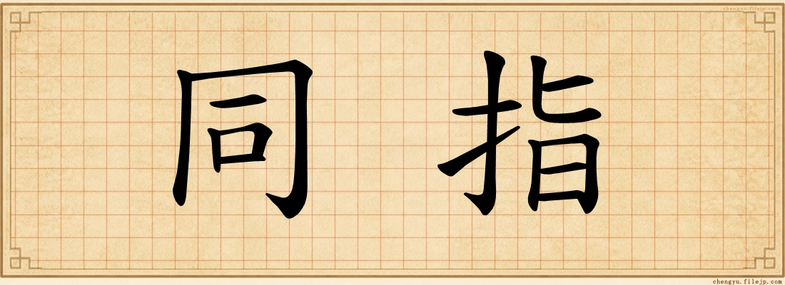 同指