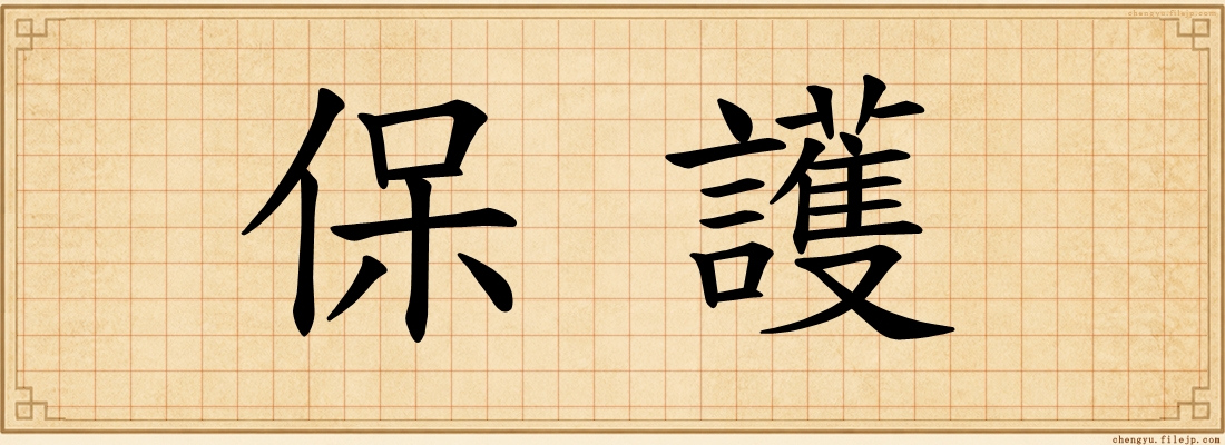 保護