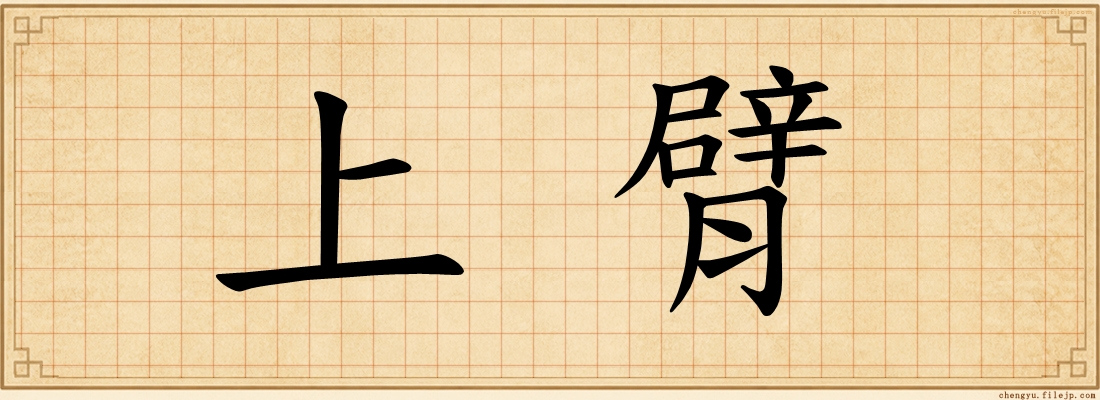 上臂