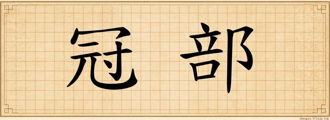 冠部