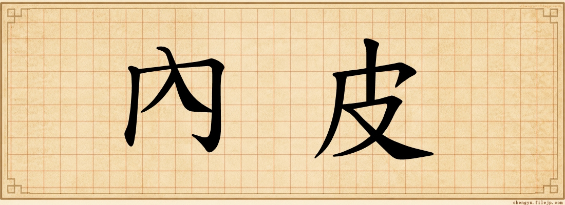 內皮