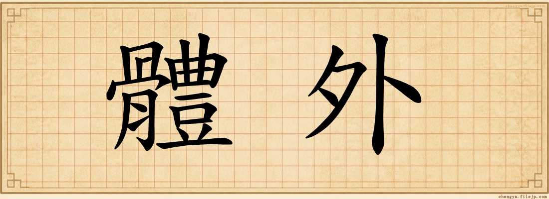 體外
