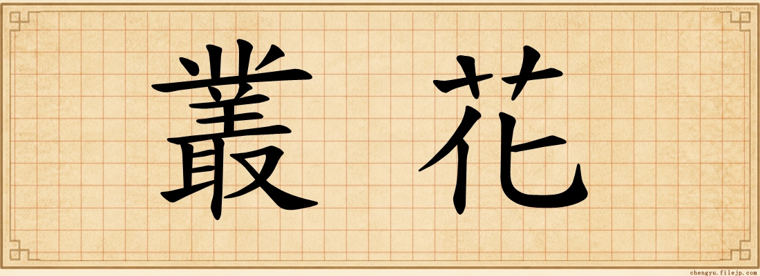 叢花