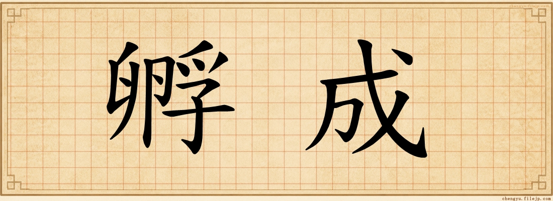 孵成