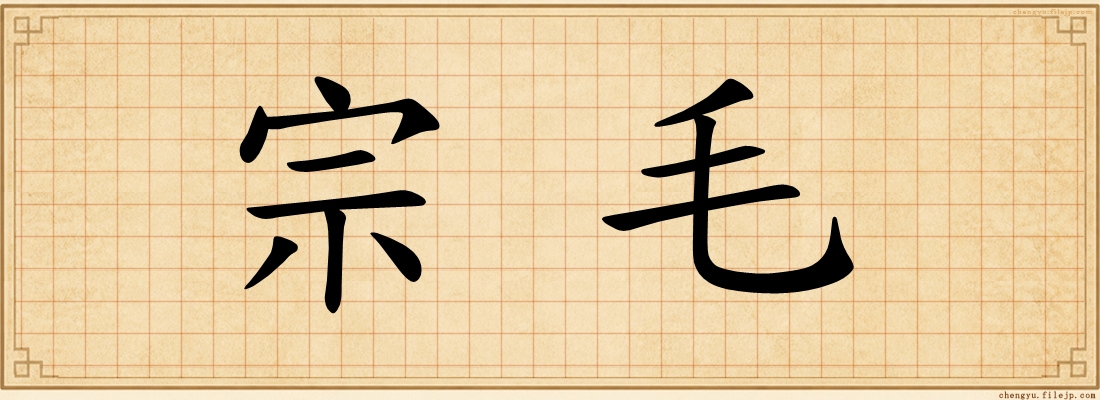 宗毛