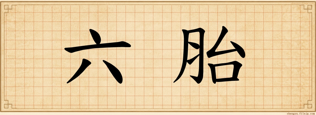 六胎