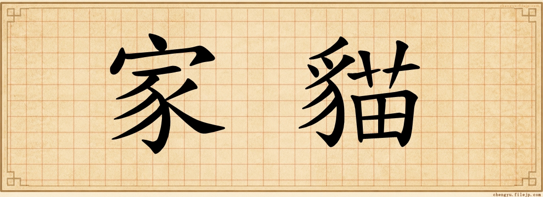 家貓