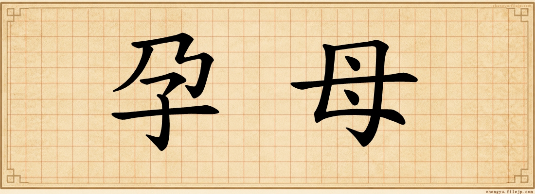 孕母