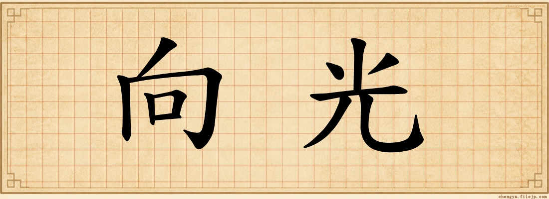 向光