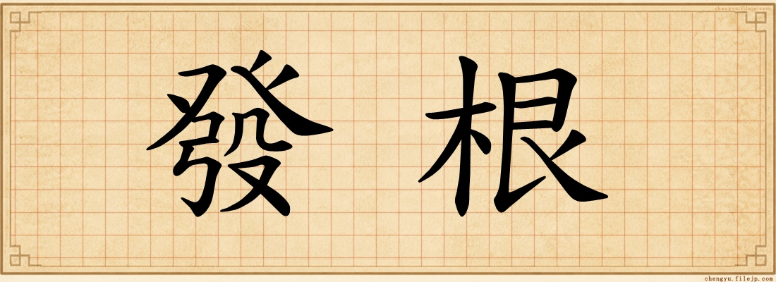 發根