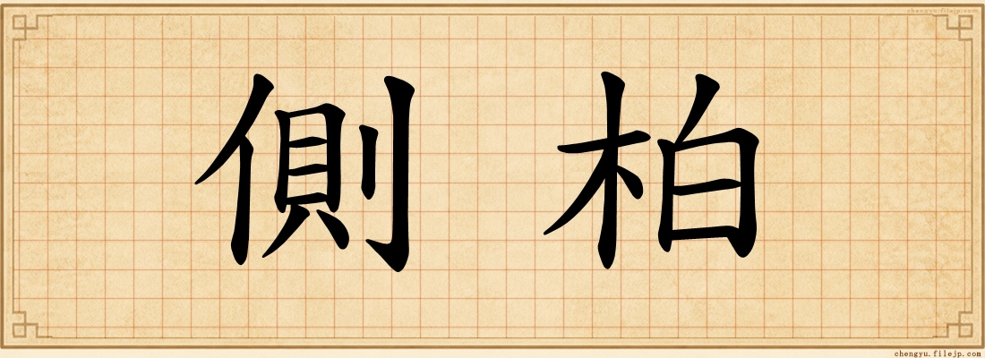 側柏