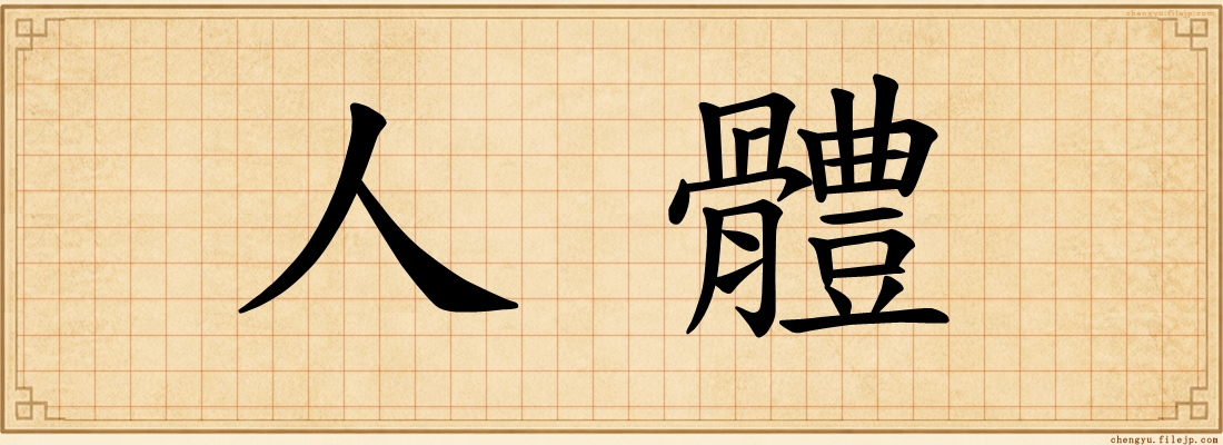 人體