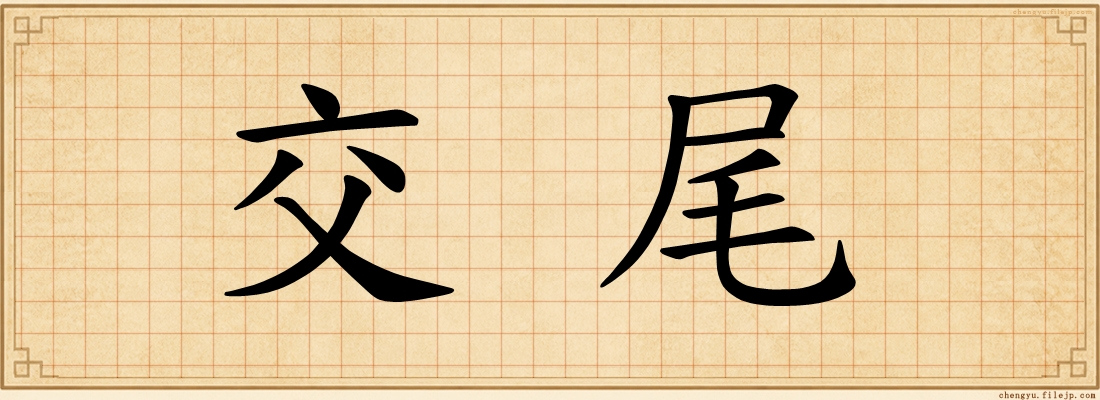 交尾