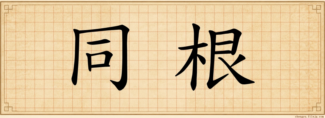 同根