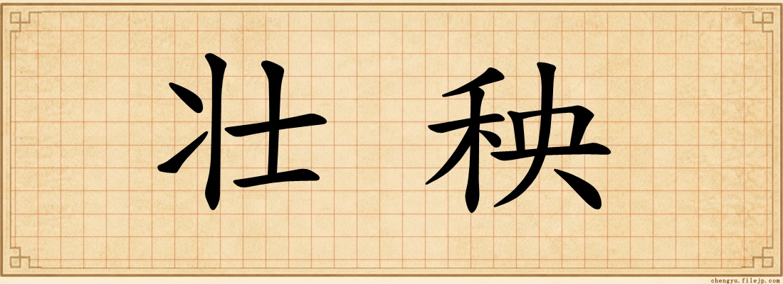 壮秧