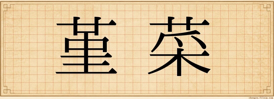 堇菜