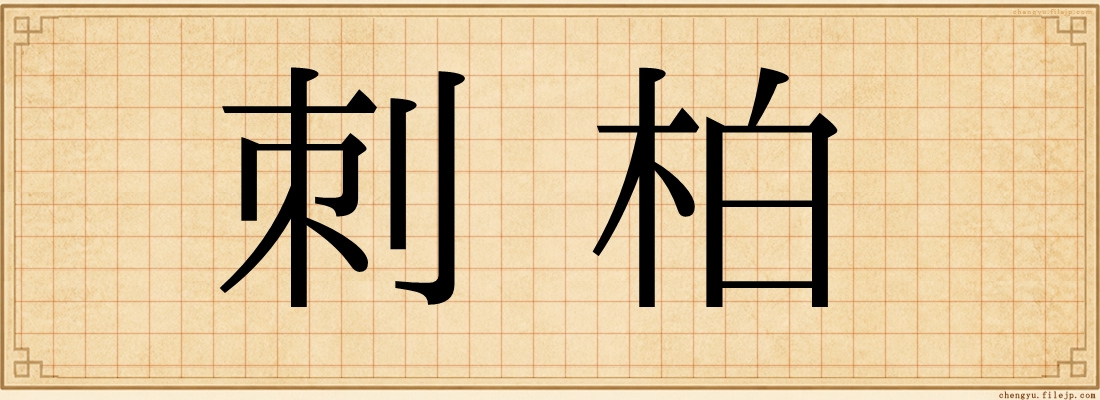 刺柏