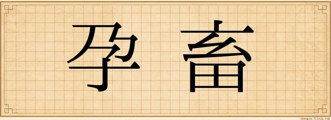 孕畜
