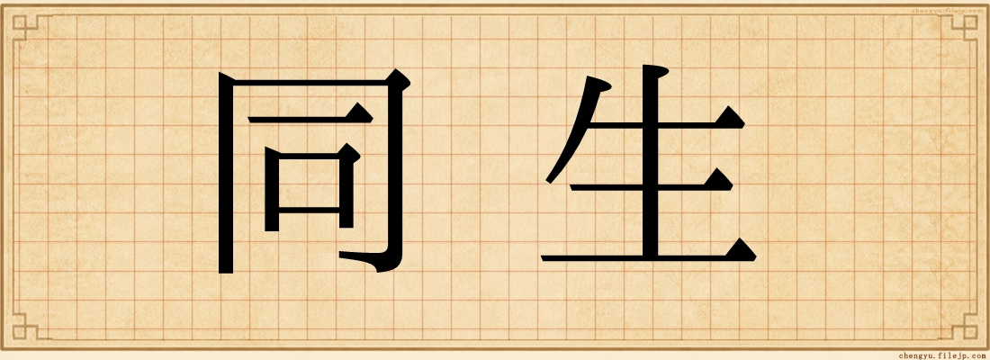 同生