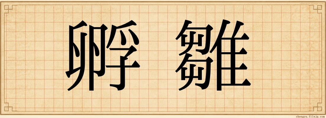 孵雛