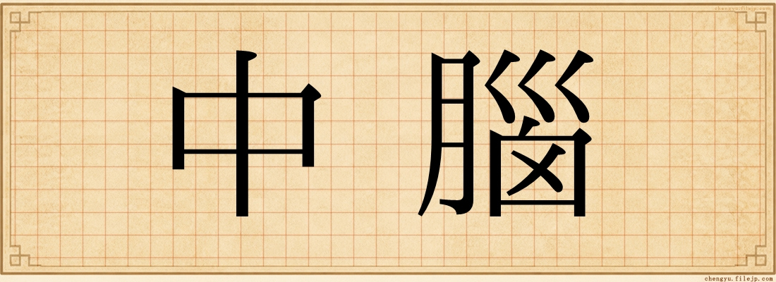 中腦