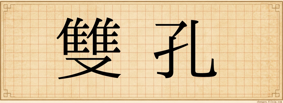 雙孔