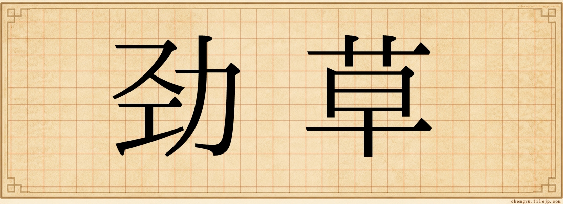 劲草