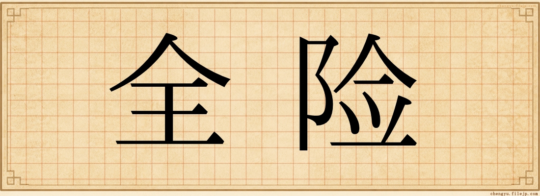 全险