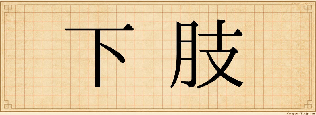 下肢