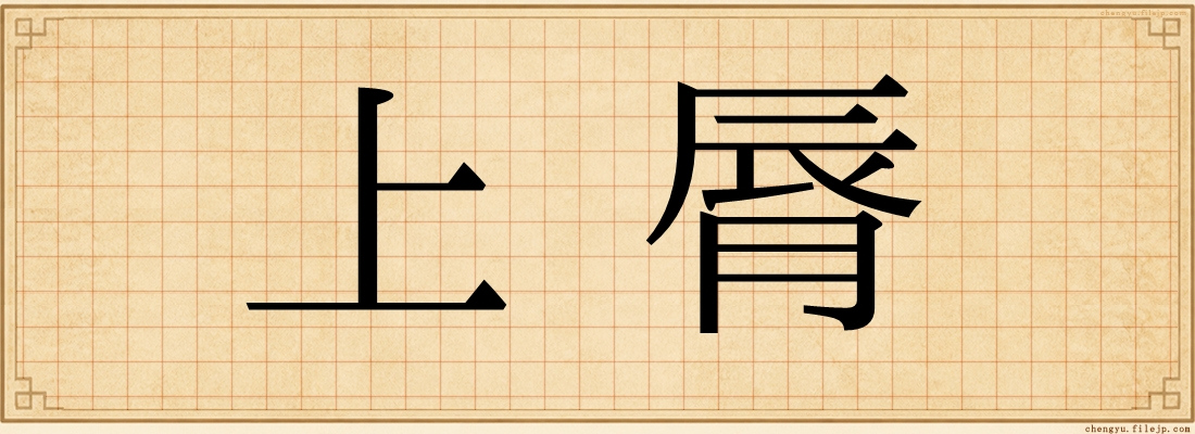 上脣