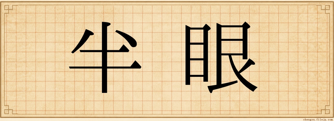 半眼