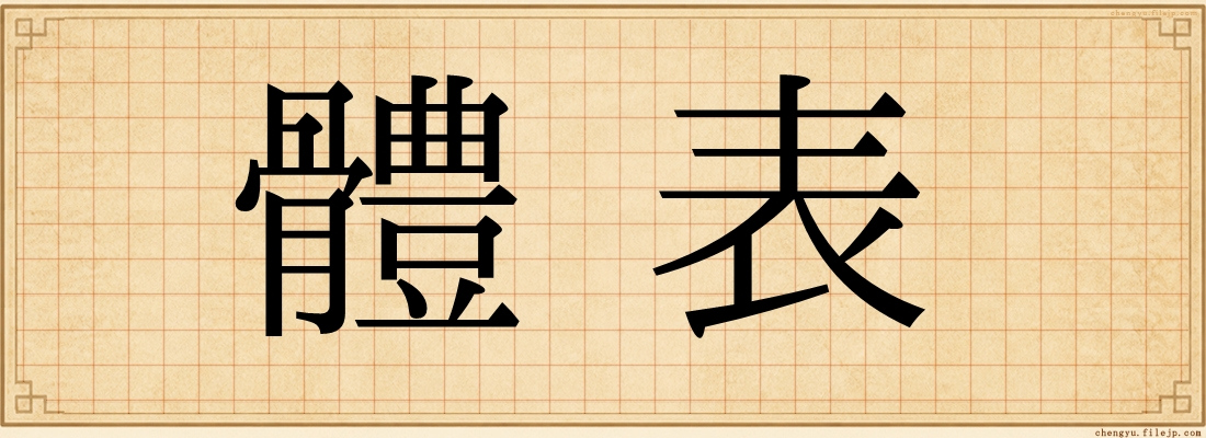 體表